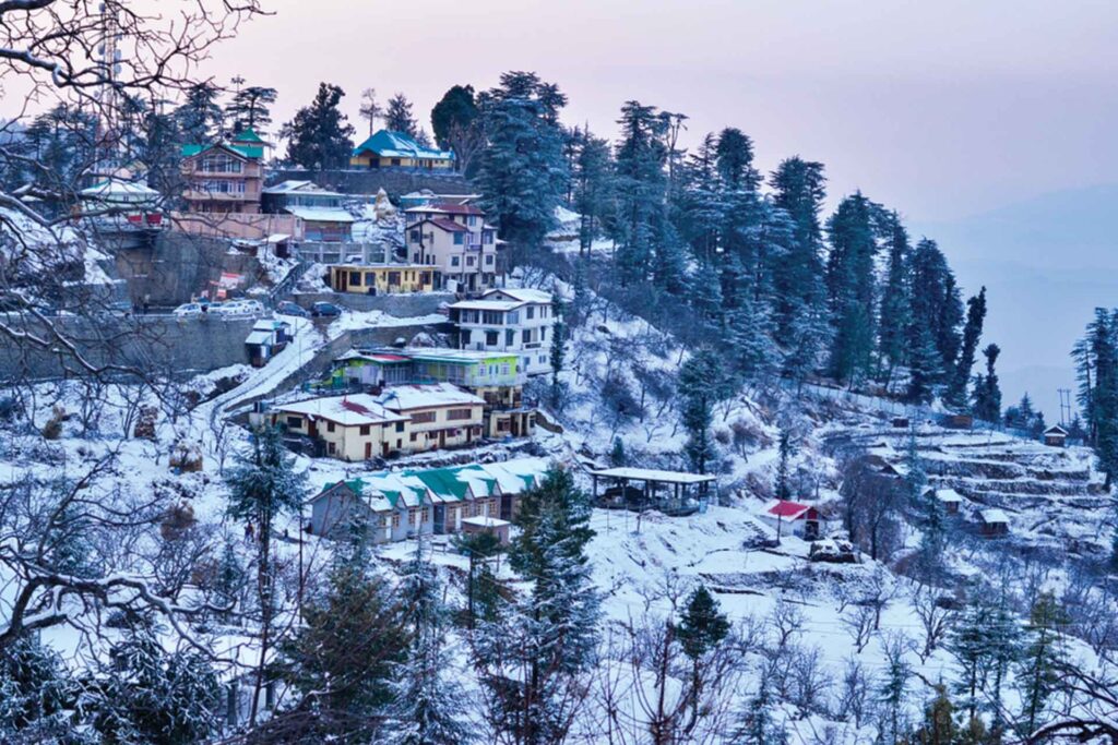 himachal land tour packages